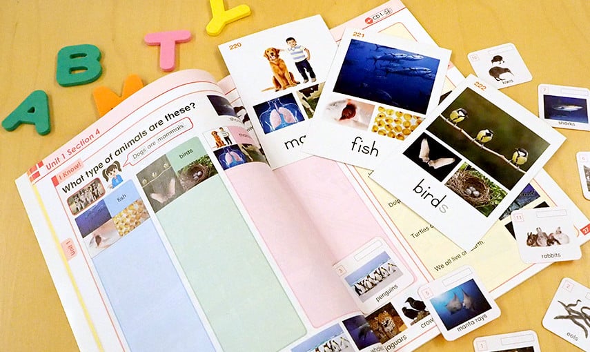 いま、注目！英語など外国語を習得する新常識・最新学習法「CLIL(クリル)」を実践！