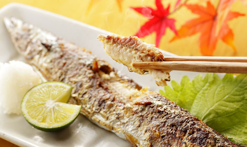 「食欲の秋」到来！秋の味覚や日本の食文化を世界中の人たちに発信しよう！