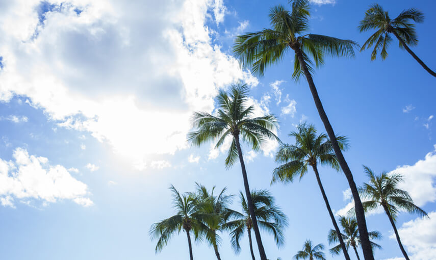 時間に余裕のあるシニア留学はコンドミニアム滞在のハワイがオススメ