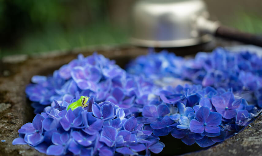 アップデートテスト20220323